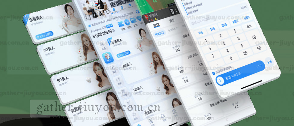 隐私政策与数据说明